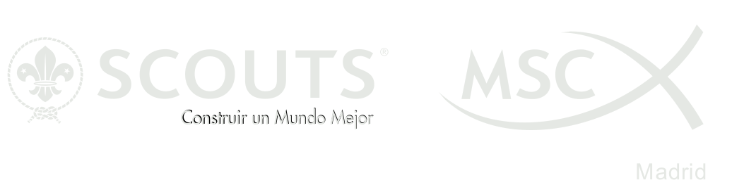 Scouts de Madrid MSC